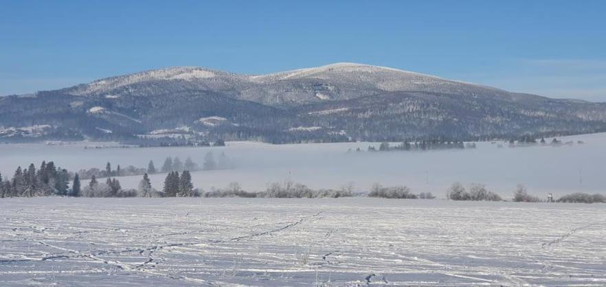 Restauracia Gol Hotel Oravske Vesele Buitenkant foto